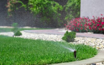 Sacramento City Lawn Watering Rules: Schedule, Fines, Rebates