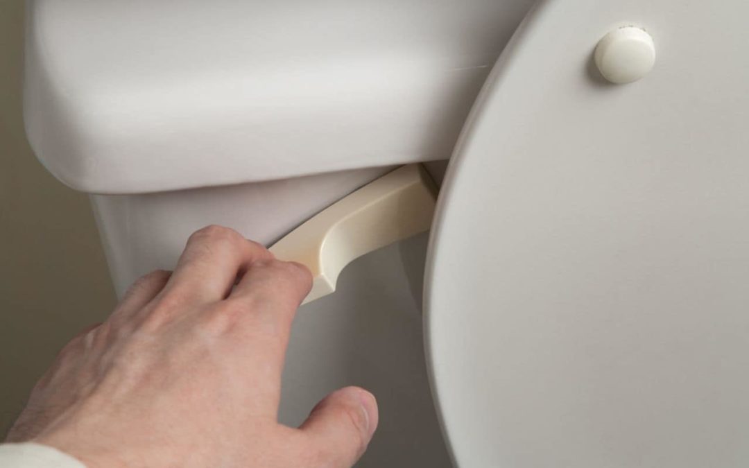 3 Common Issues with Toilet Handles
