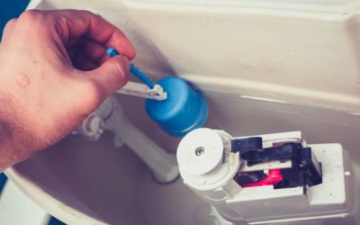 Are Low-Flow Toilets Worth It?