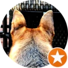 Reggie Avatar